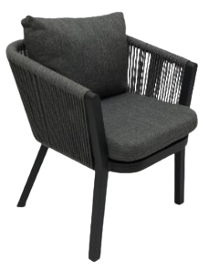 Elegant Dining Armchair